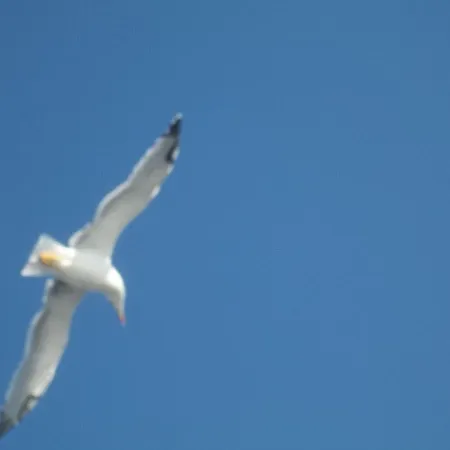 Appartamento Captain Nicks House Kalamata