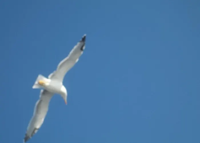 Appartamento Captain Nicks House Kalamata